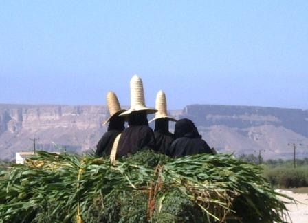 Hadramawt vallei - vier vrouwen in boerka en strooien hoed op terugweg van het veld 